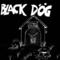 Black Dog