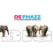 De Phazz & The Radio Bigband Frankfurt