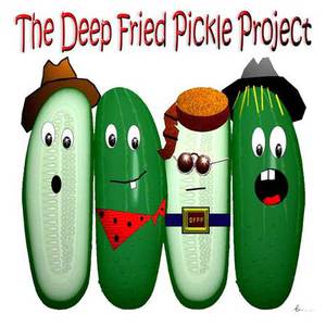 Deep Fried PIckle Project