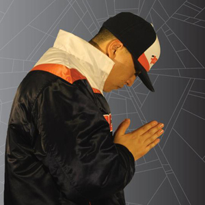 FlowSik