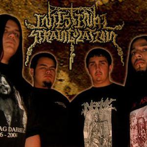 Intestinal Strangulation