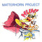 Matterhorn Project