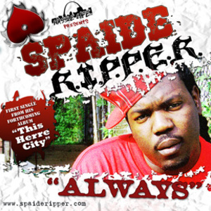 Spaide Ripper