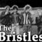 The Bristles
