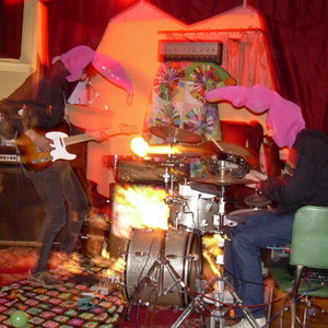 The Bulbs