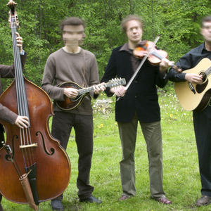 The Creaking Tree String Quartet