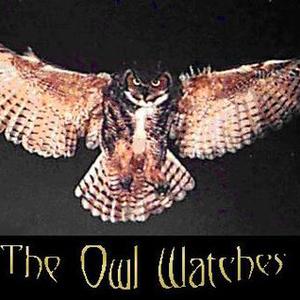 The Owl Watches