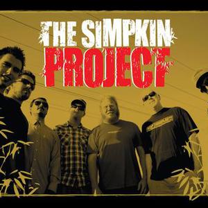 The Simpkin Project