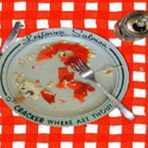 Cracker And Leftover Salmon