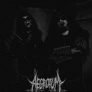 Aegrotum