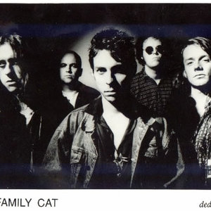 The Family Cat