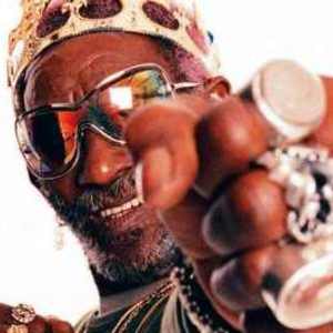 The Orb And Lee Scratch Perry
