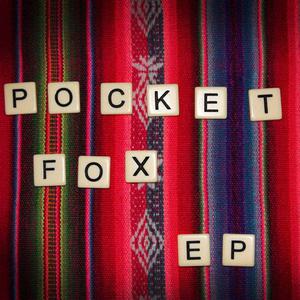 Pocket Fox