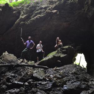 Cave Cricket