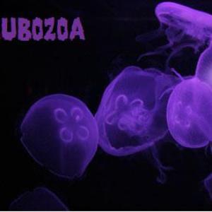 Cubozoa
