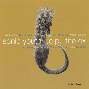 Sonic Youth, I.C.P & The Ex