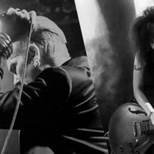 The Bellwether Syndicate