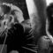 The Bellwether Syndicate